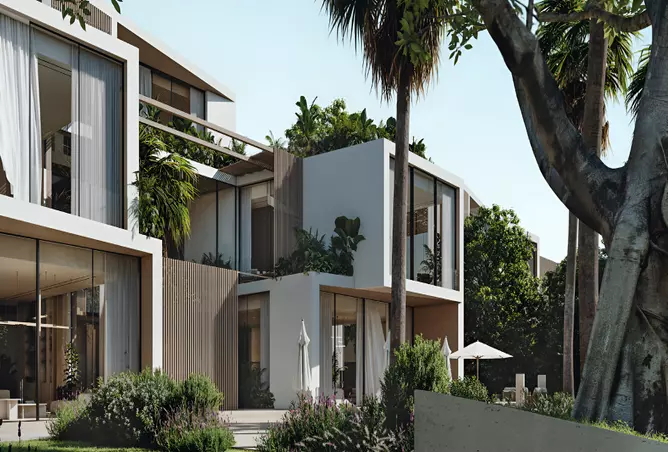 Altissima project photo 2