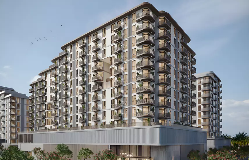 Savannah project photo 2