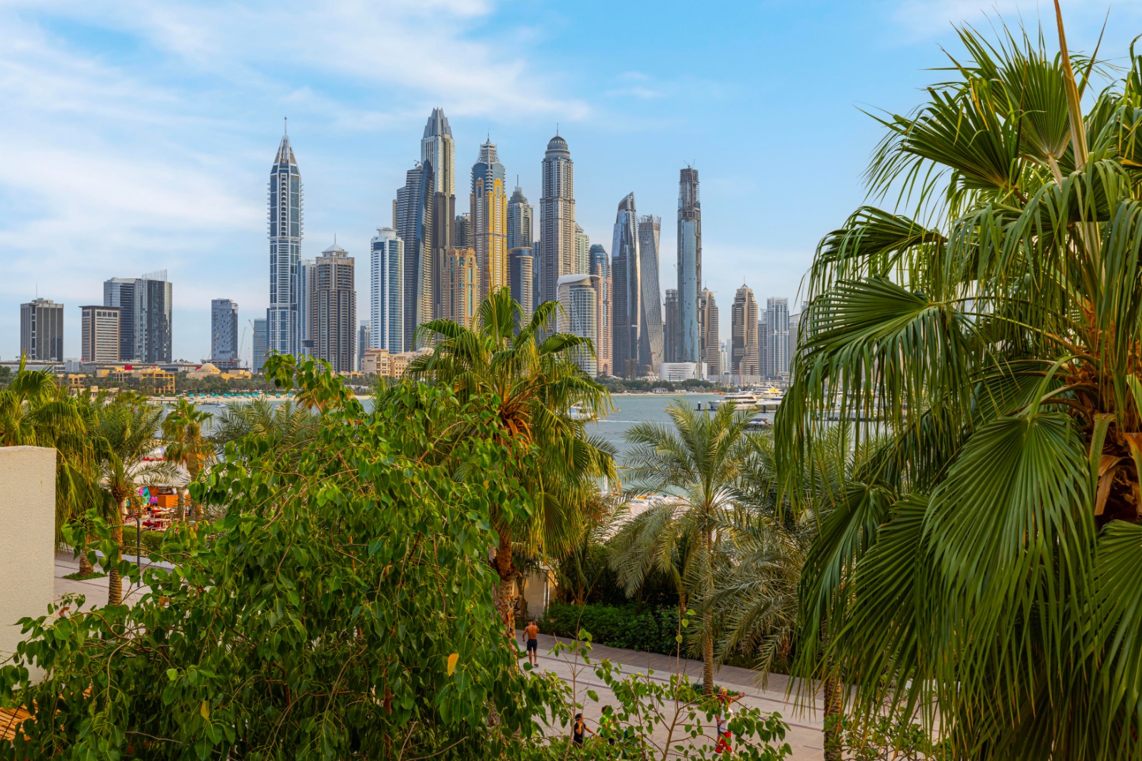 Palm Jumeirah property photo 26